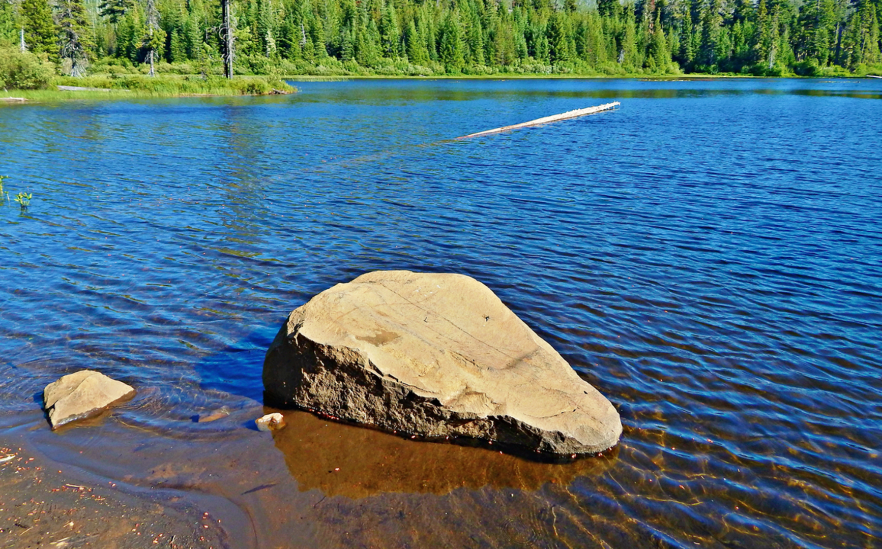 An image depicting the trail Hand Lake Trail and its surrounding area.
