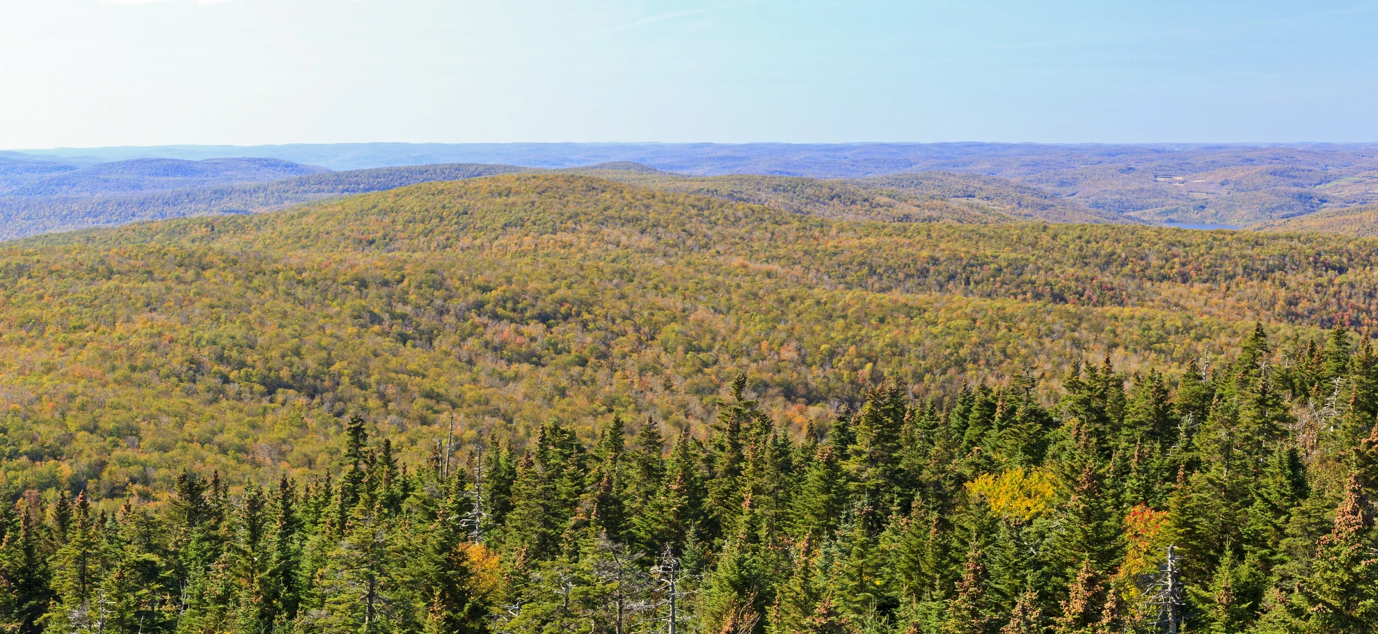 An image depicting the trail Balsam Lake Mountain Trail and its surrounding area.