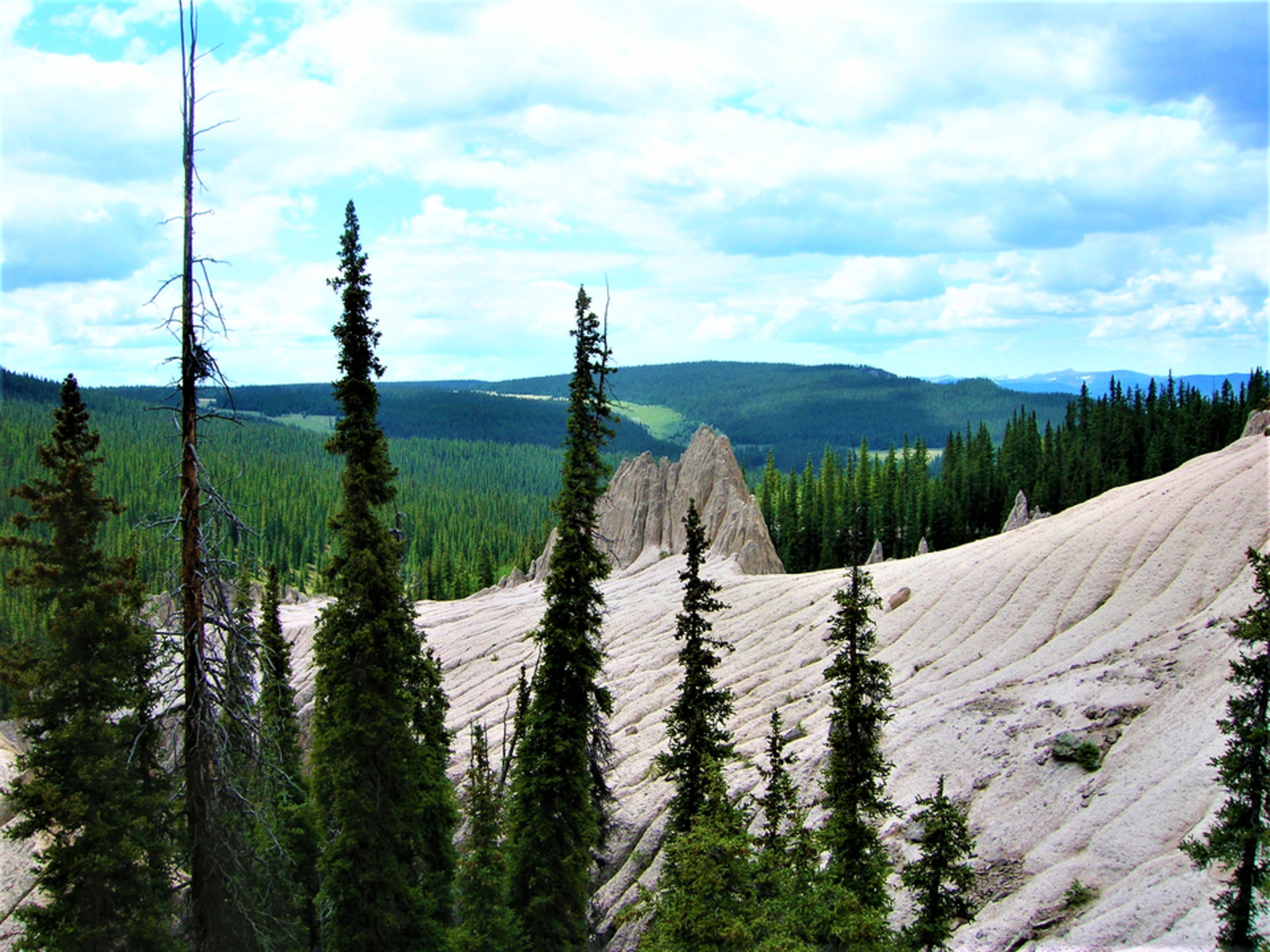 An image depicting the trail Benito Creek Trail and its surrounding area.