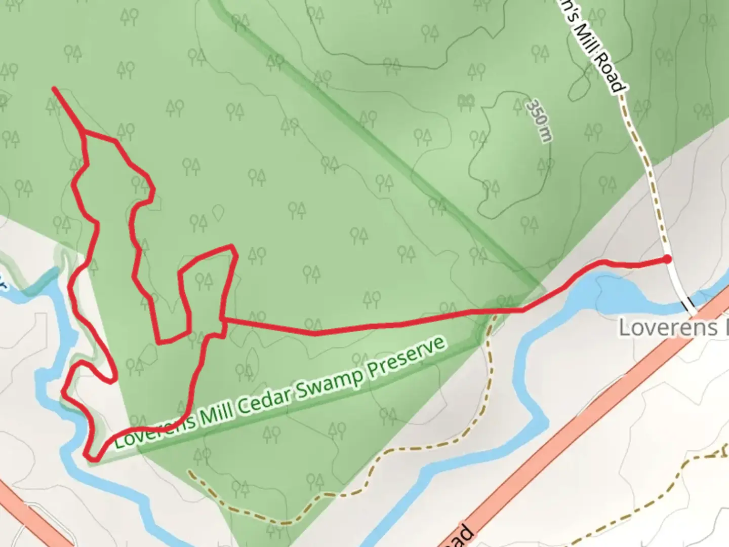 An image depicting the trail North Branch River Loop and its surrounding area.