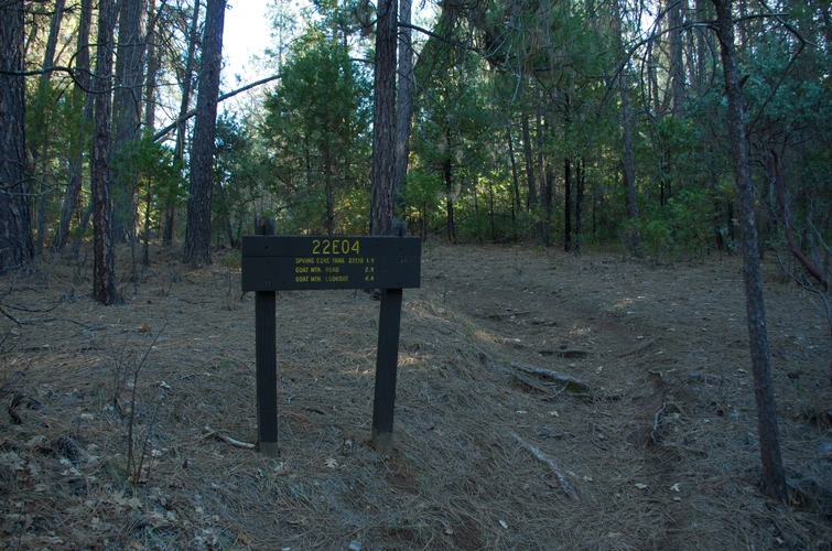 Goat Mountain Trail Out and Back