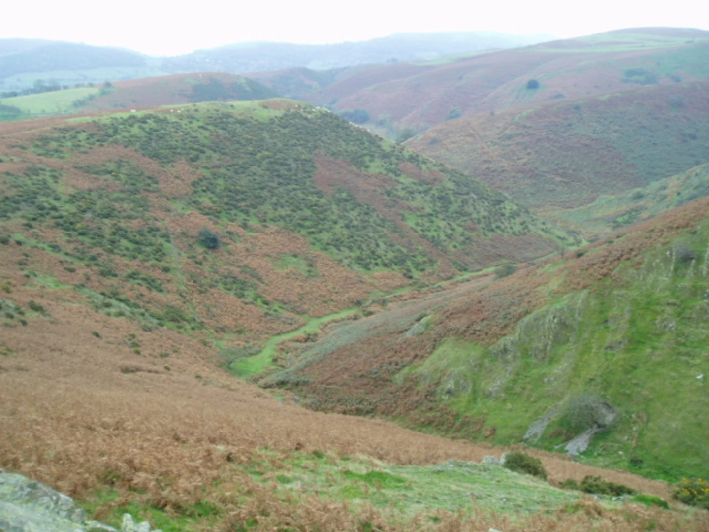 An image depicting the trail Jonathan's Hollow and Bodbury Hill via C B Way and its surrounding area.