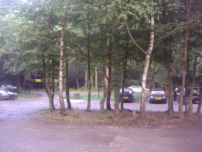 Esher Common