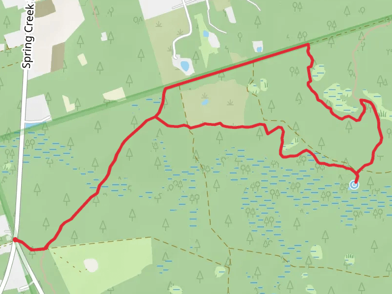 Florida Loop Trail from Spring Creek Highway