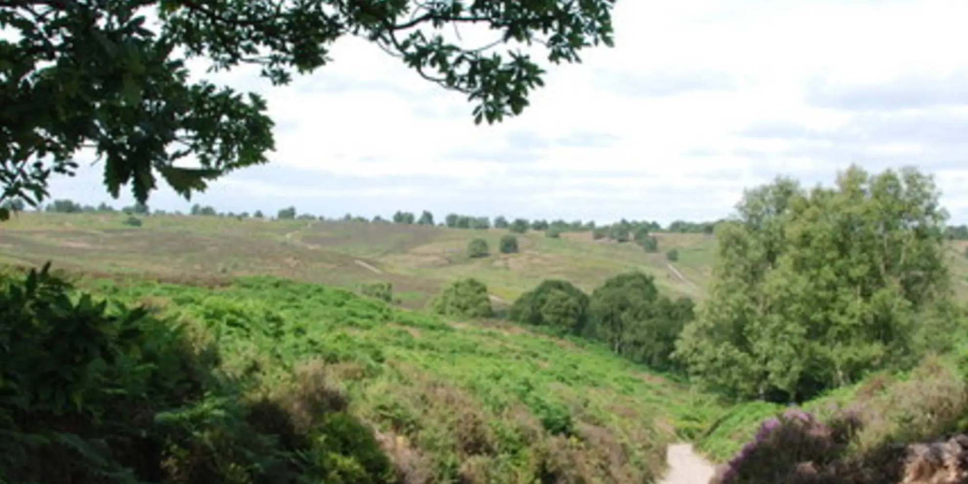 An image depicting the trail Sherbrook Valley from the Punch Bowl - Milford and its surrounding area.