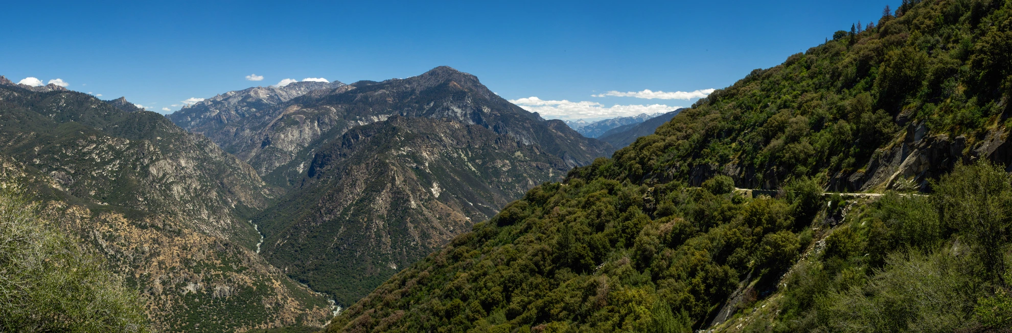 An image depicting the trail Redwood Mountain - Sugar Bowl and Hart Tree Loop Trail and its surrounding area.