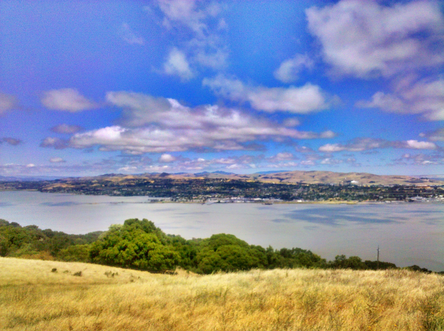 An image depicting the trail Carquinez Scenic Drive and its surrounding area.