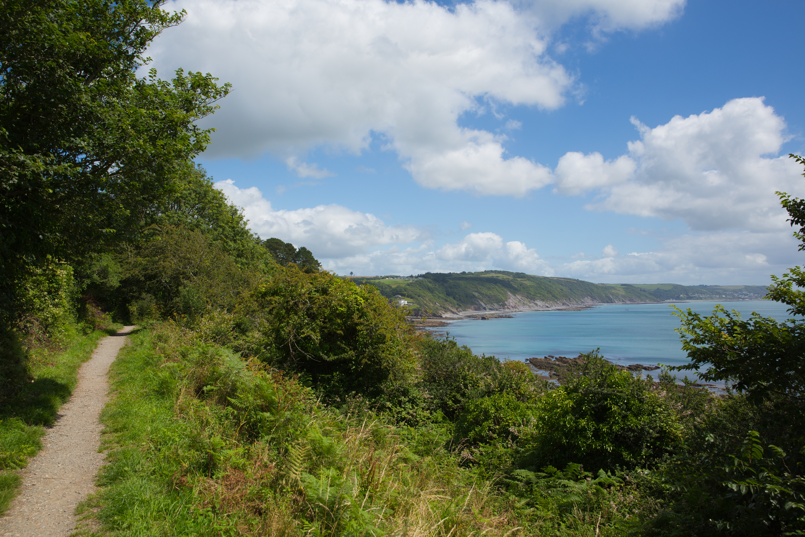 An image depicting the trail Trelawne - West Looe and Hendersick Walk and its surrounding area.