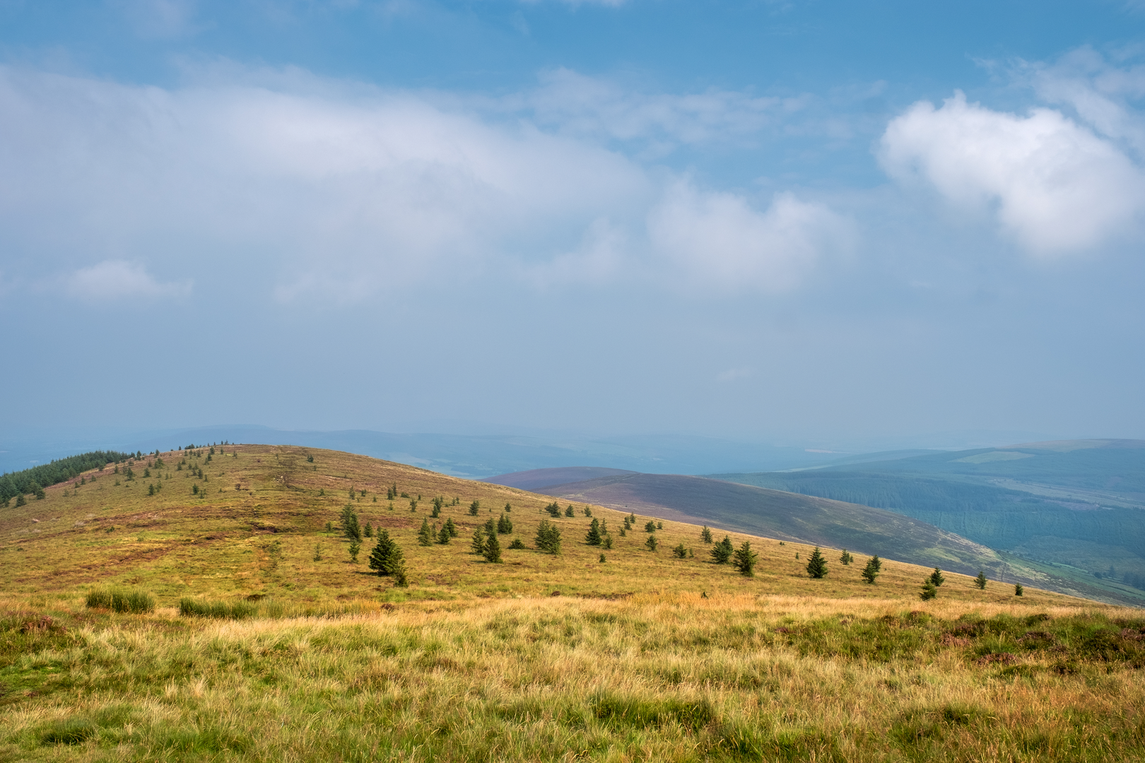 An image depicting the trail Derrybawn and Mullacor Mountain Loop and its surrounding area.