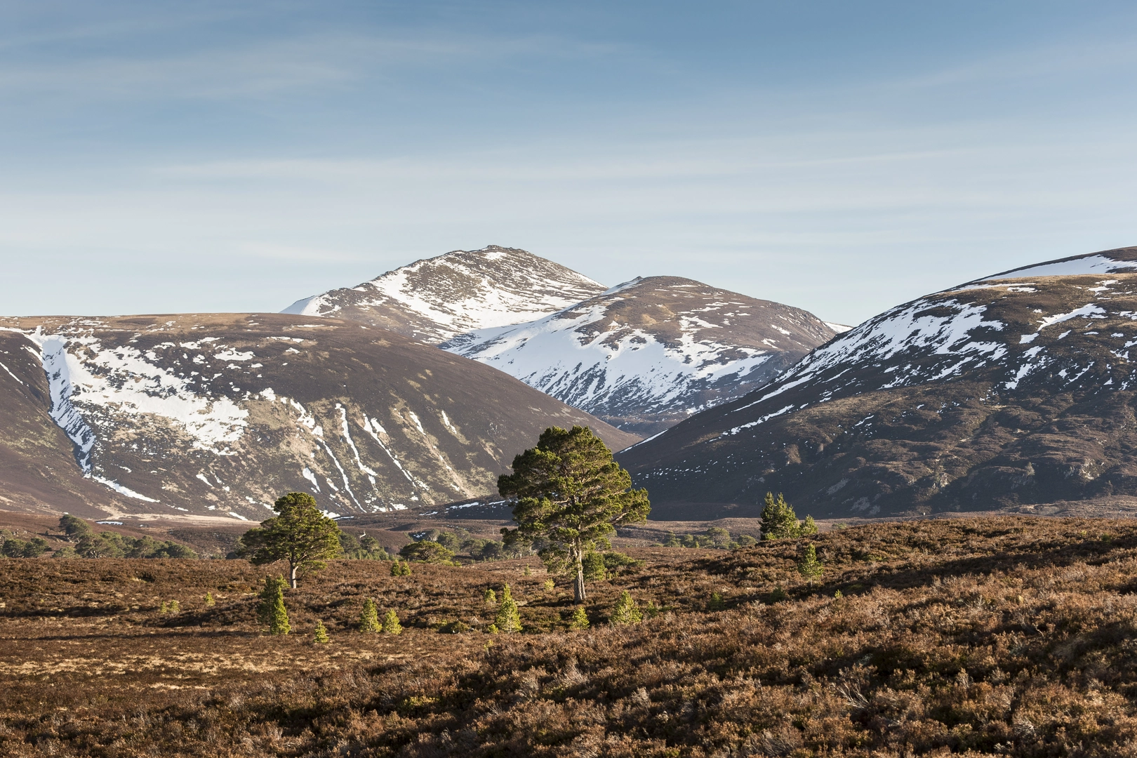 An image depicting the trail Lairig an Lui and Saddle from Glenmore and its surrounding area.