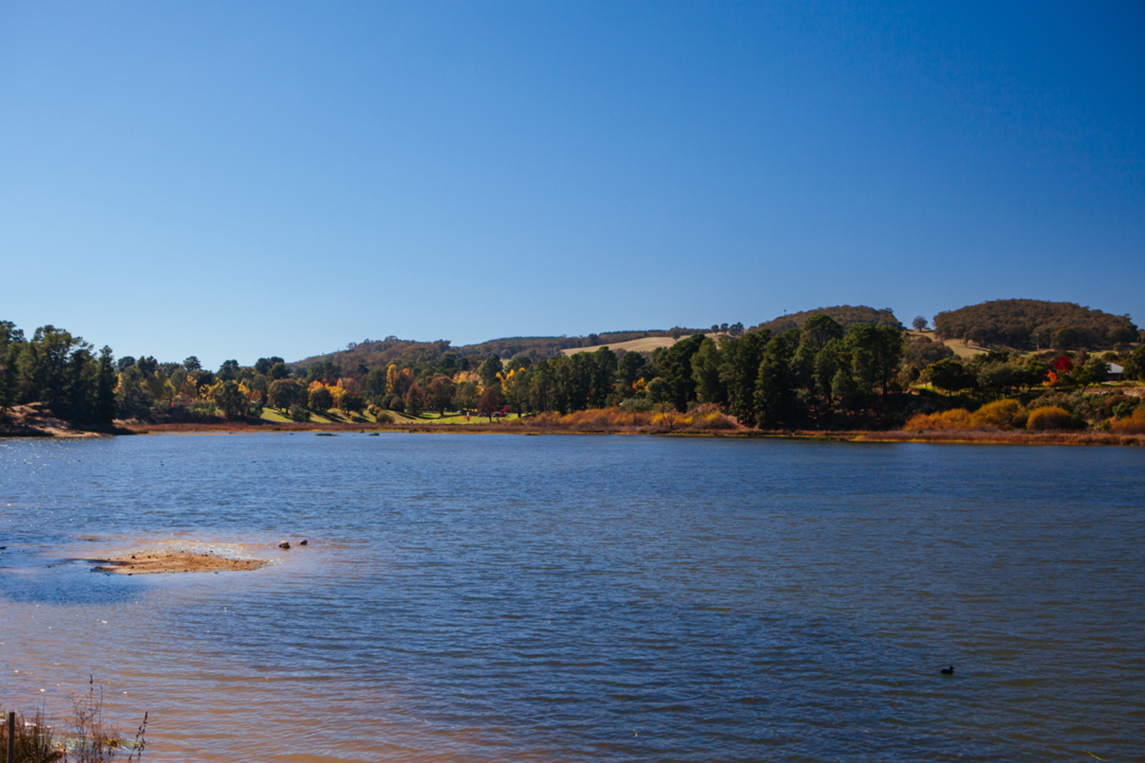 An image depicting the trail Lake Sambell to Lake Kerferd Walk and its surrounding area.