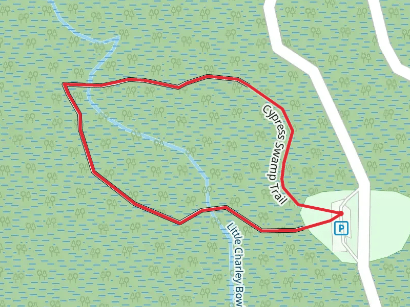 Cypress Swamp Loop Trail