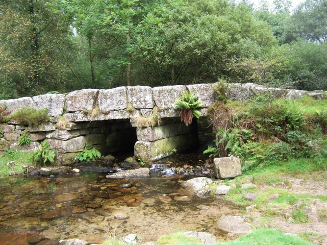 South Hessary Tor and Burrator Reservoir Loop