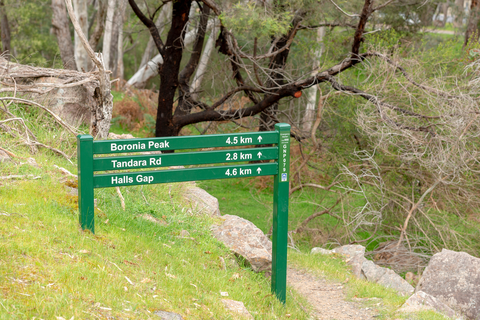 Delleys Bridge Walking Track