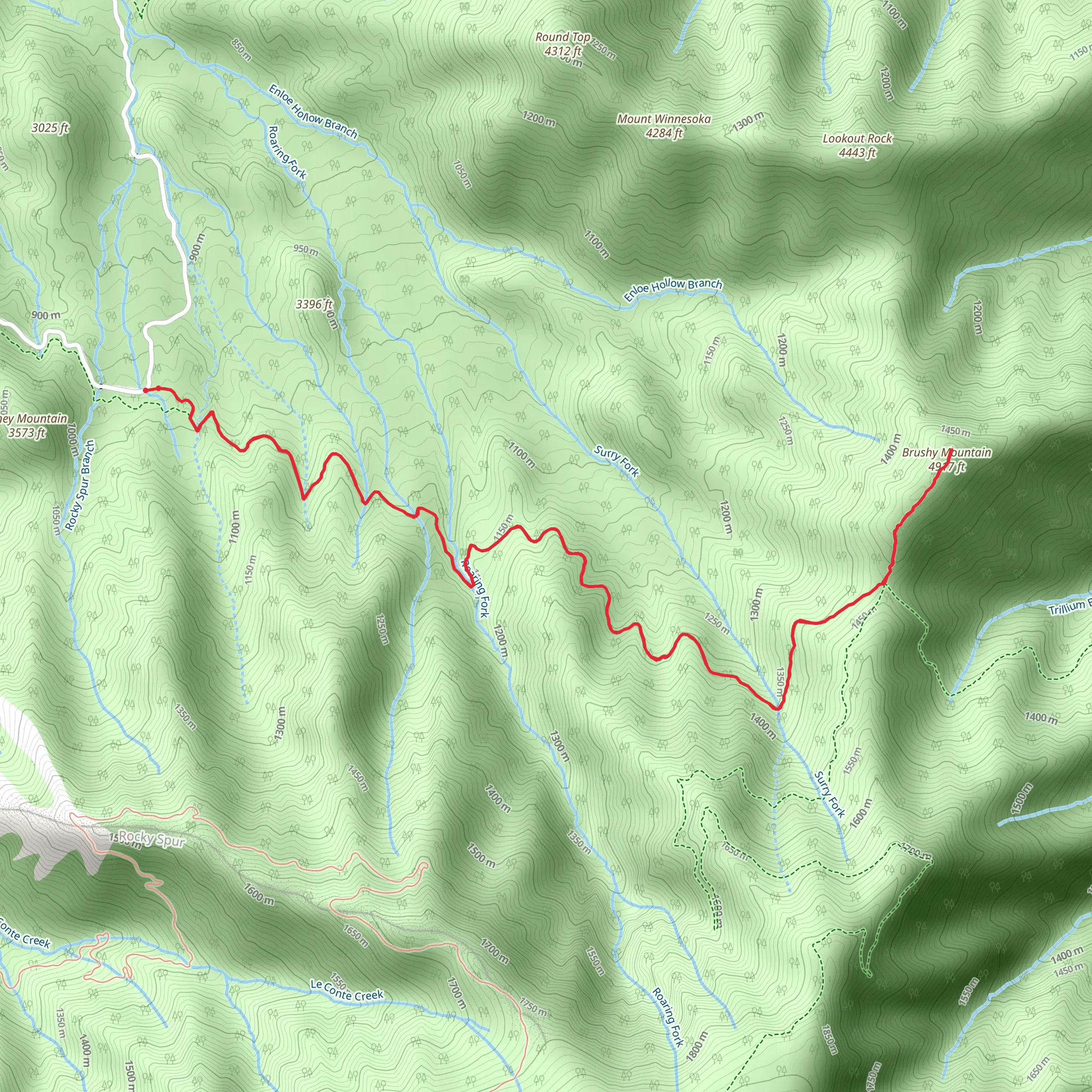 Brushy Mountain and Trillium Gap Trail mobile static map