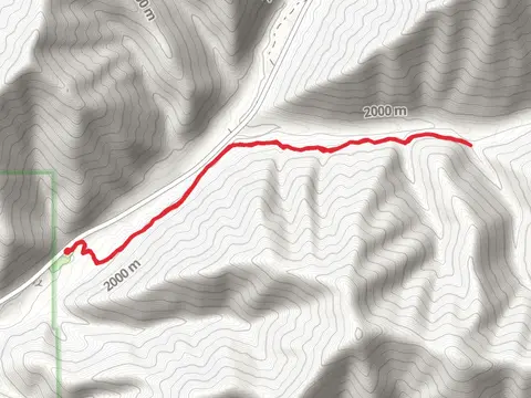 Corral Creek Out and Back