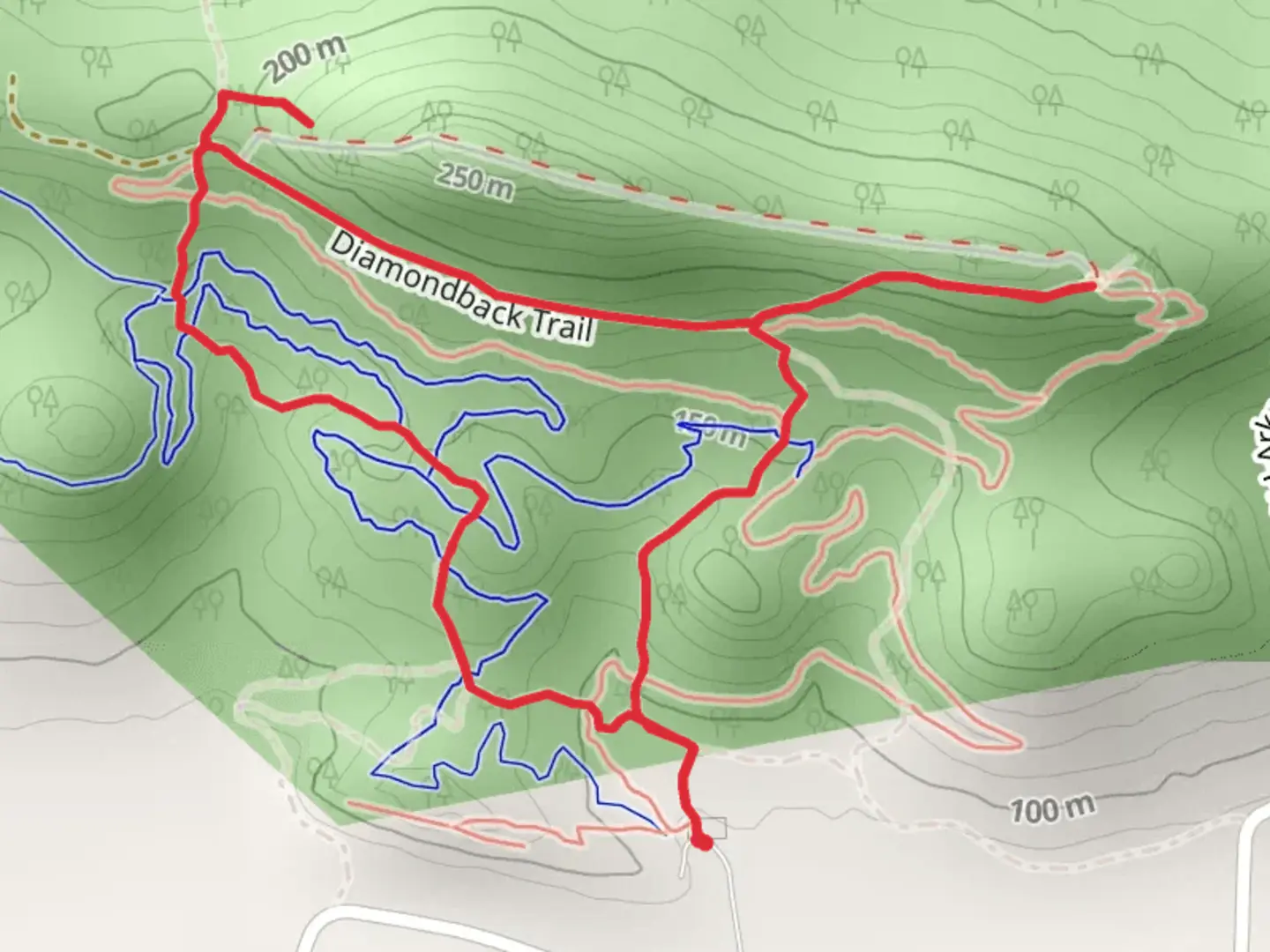 An image depicting the trail Diamondback Trail Loop and its surrounding area.