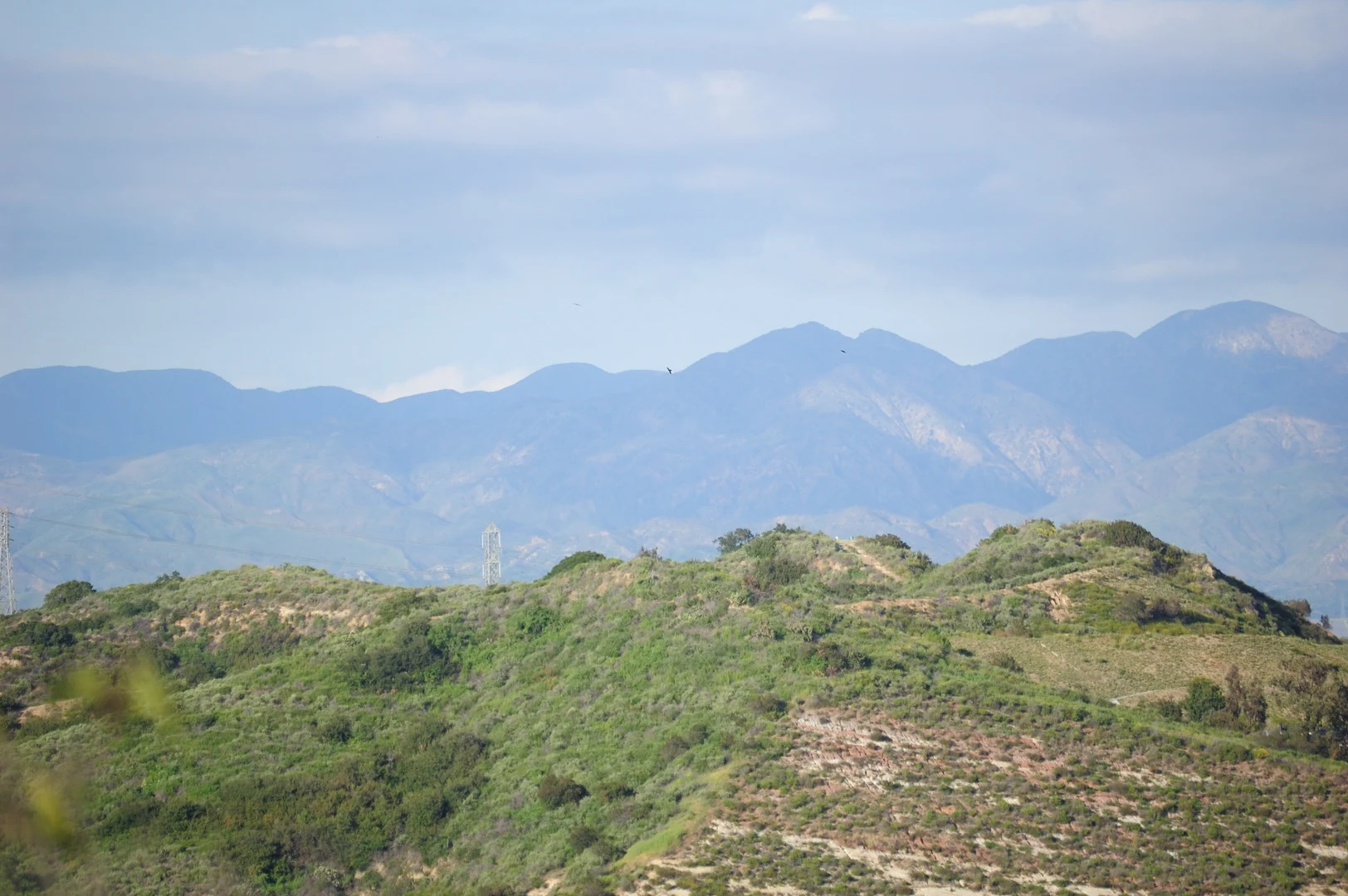 An image depicting the trail Bommer Ridge, Lizard Trail and Missing Link Loop and its surrounding area.