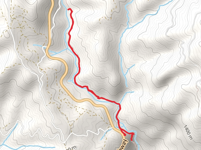 Lewis Fork and Lewis Creek Trail