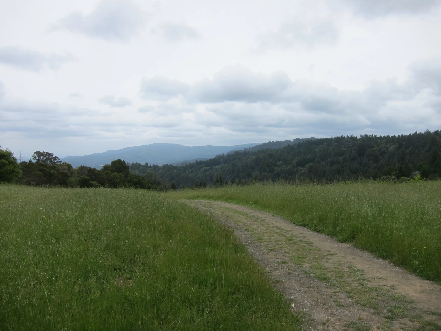 An image depicting the trail Bear Gulch - Alambique Loop Trail and its surrounding area.