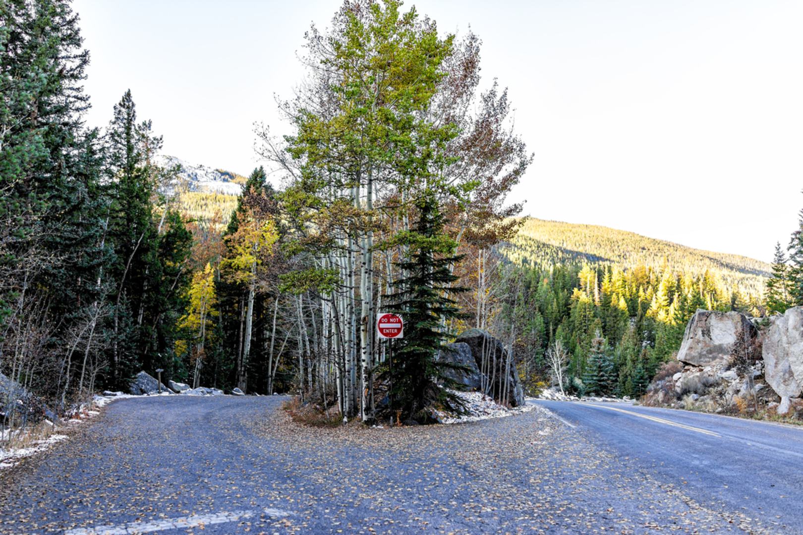 An image depicting the trail Weller Lake Trail and its surrounding area.
