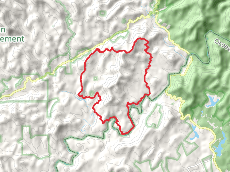 Willis Knob Horse Loop Trail