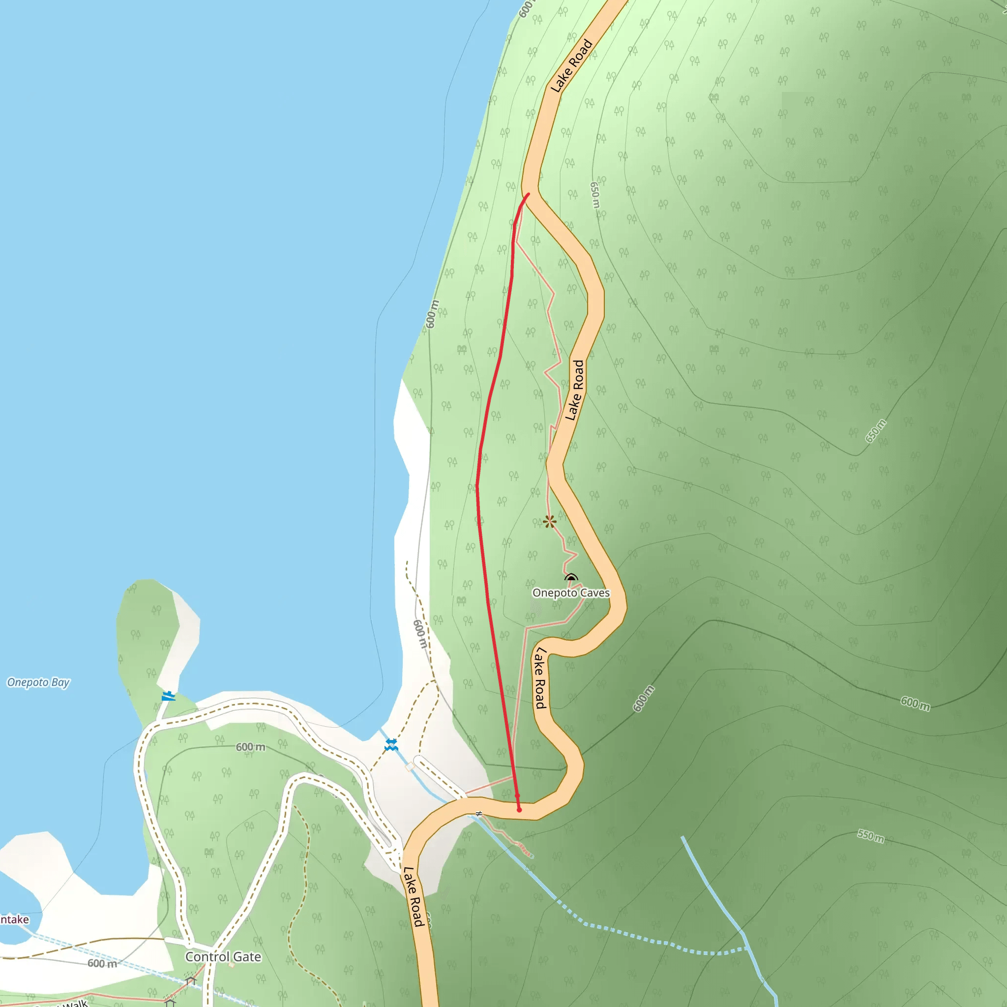 Onepoto Caves Track mobile static map