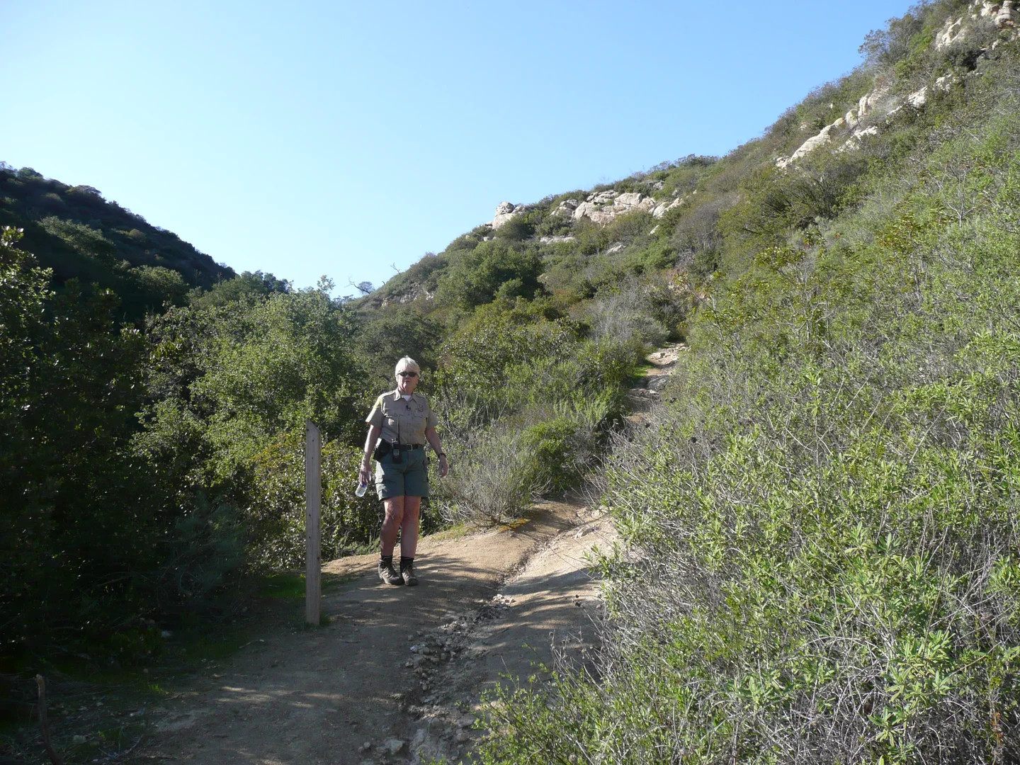 An image depicting the trail Willow Canyon Road, Rommer Ridge and Emerald Canyon Road Loop and its surrounding area.