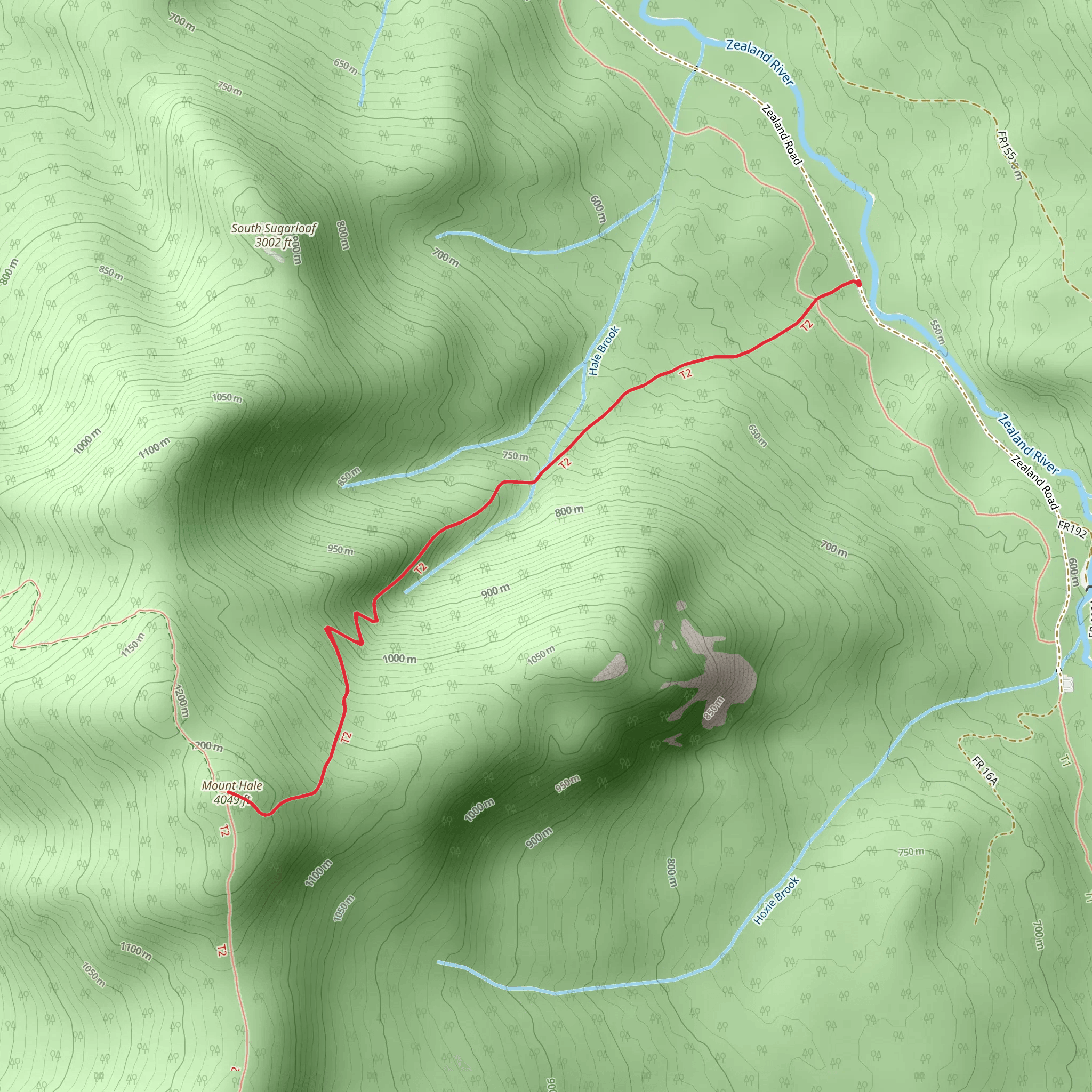 Mount Hale Out and Back mobile static map