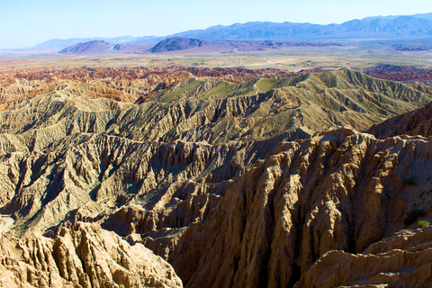 Pinyon Wash Trail