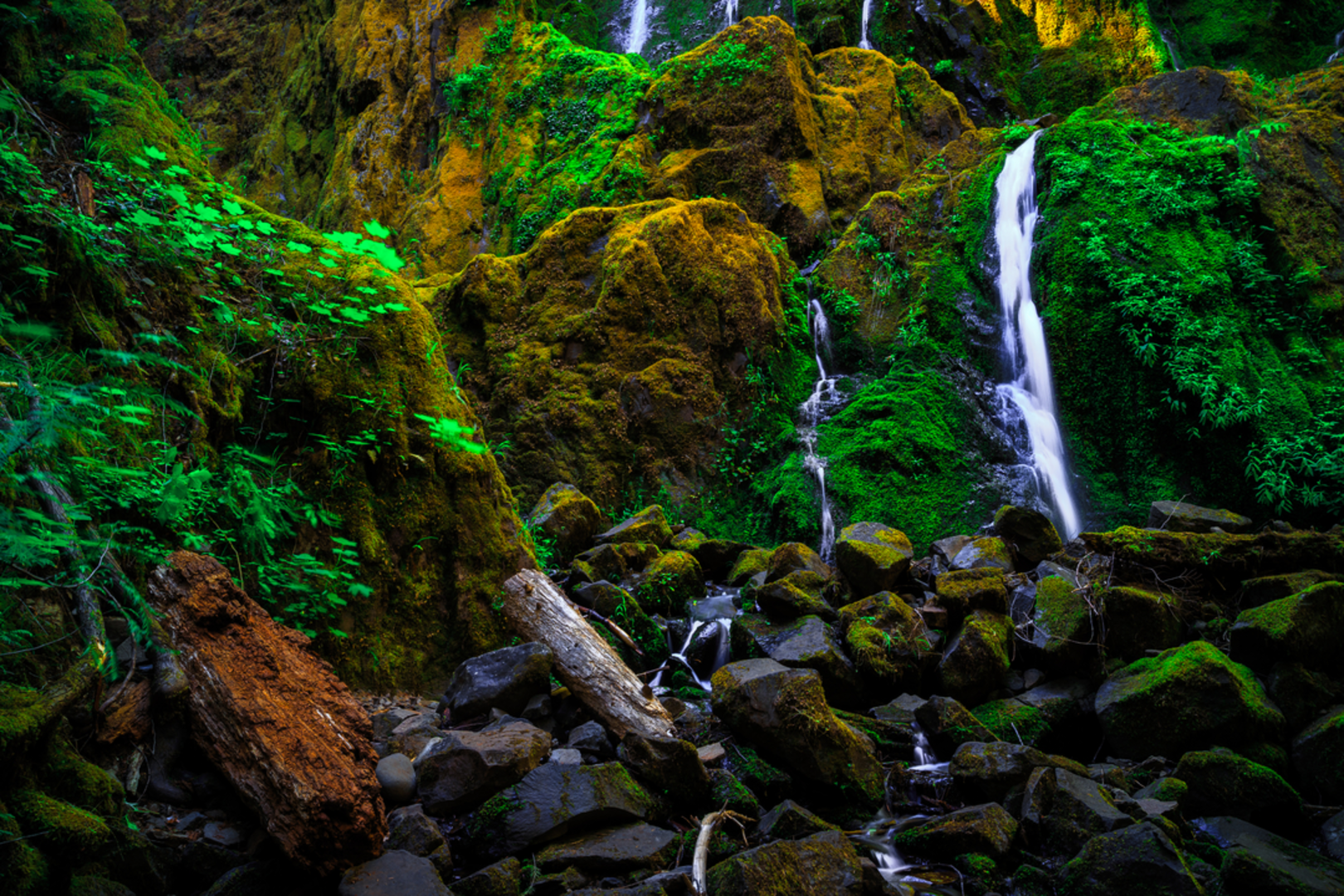 An image depicting the trail Moon Falls Trail and its surrounding area.