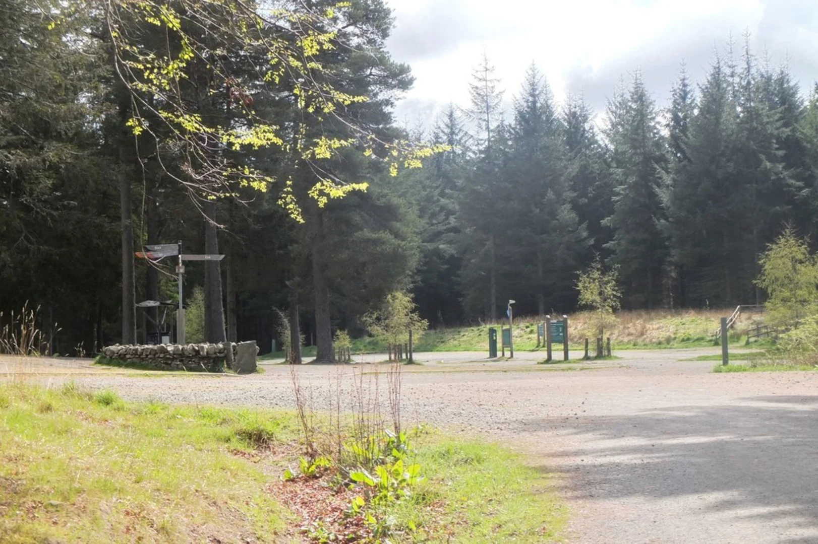 An image depicting the trail Buzzard’s Nest Loop Trail and its surrounding area.