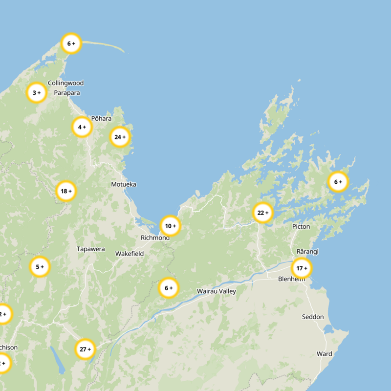 Nelson City Static Map