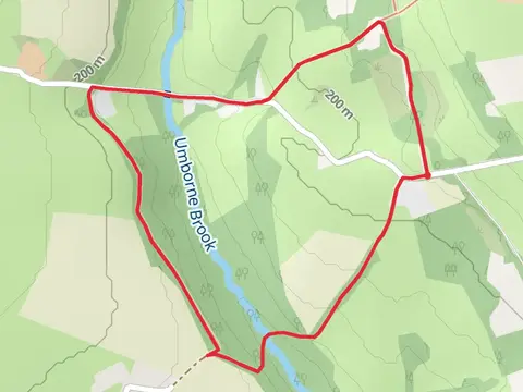 Wood Copse Loop