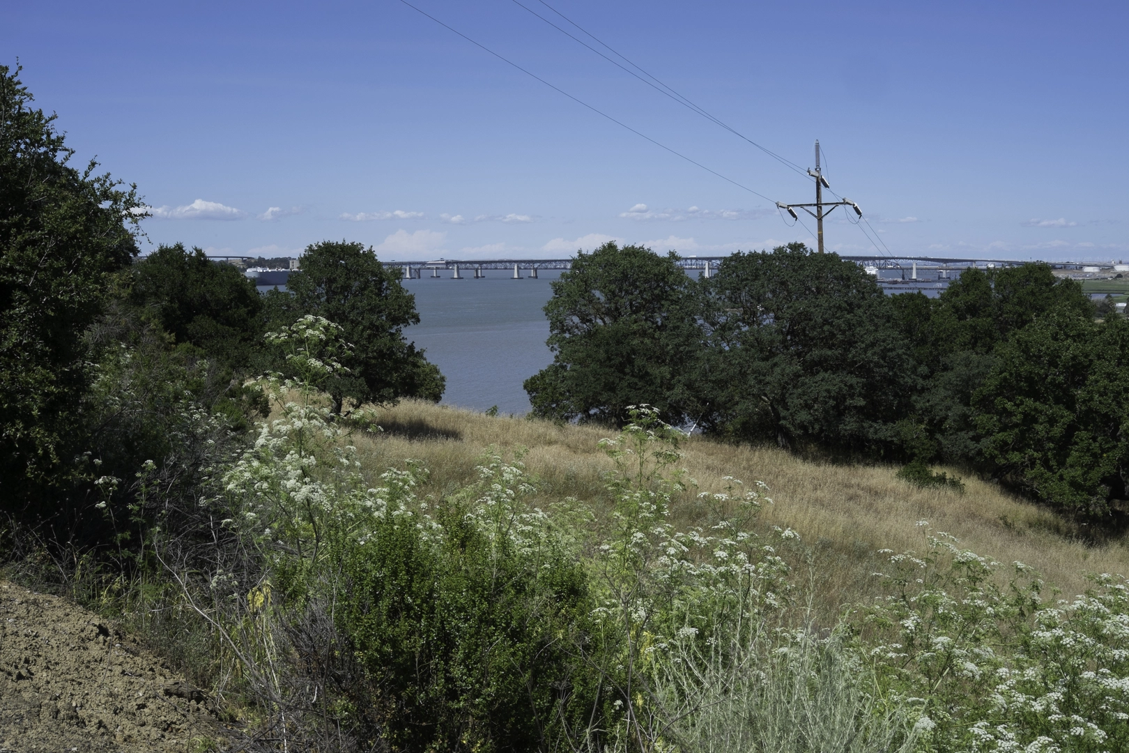 An image depicting the trail Bull Valley and Carquinez Loop Overlook Trail and its surrounding area.