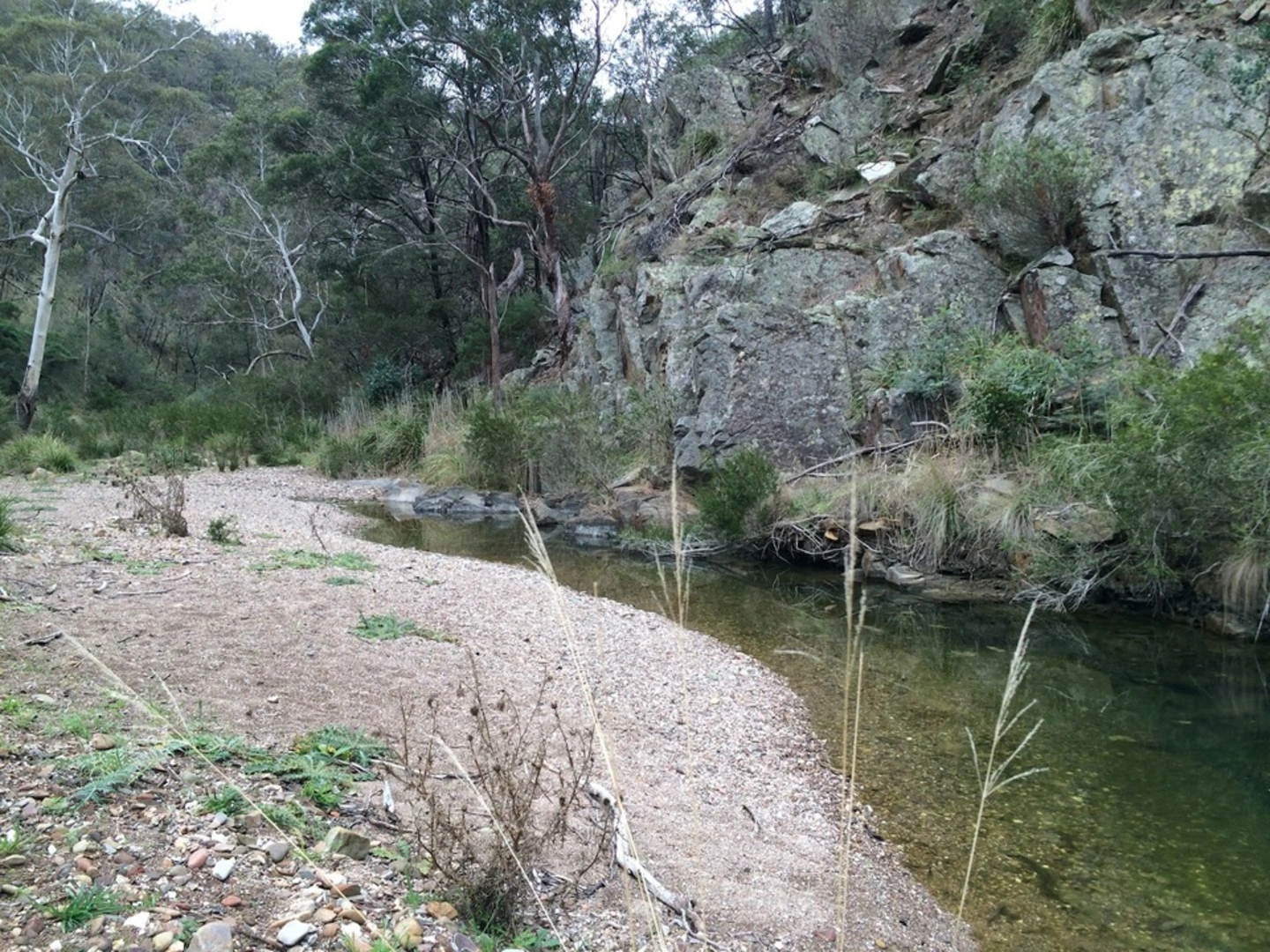 An image depicting the trail Pyrites Creek and Sugarloaf Trail and its surrounding area.