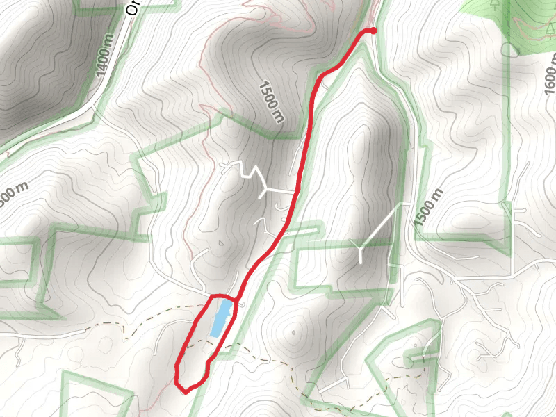 Cox Lake Loop