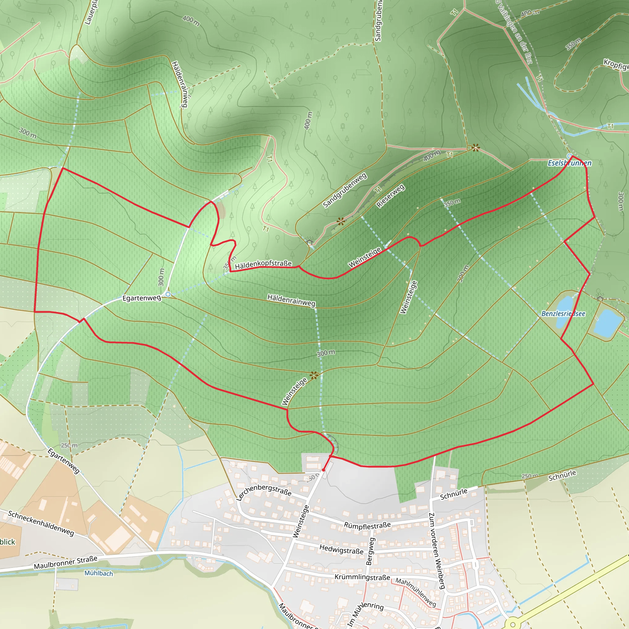 Benzlesriedsee via Weinlehrpfad am Klosterberg and Roter Punkt Loop mobile static map