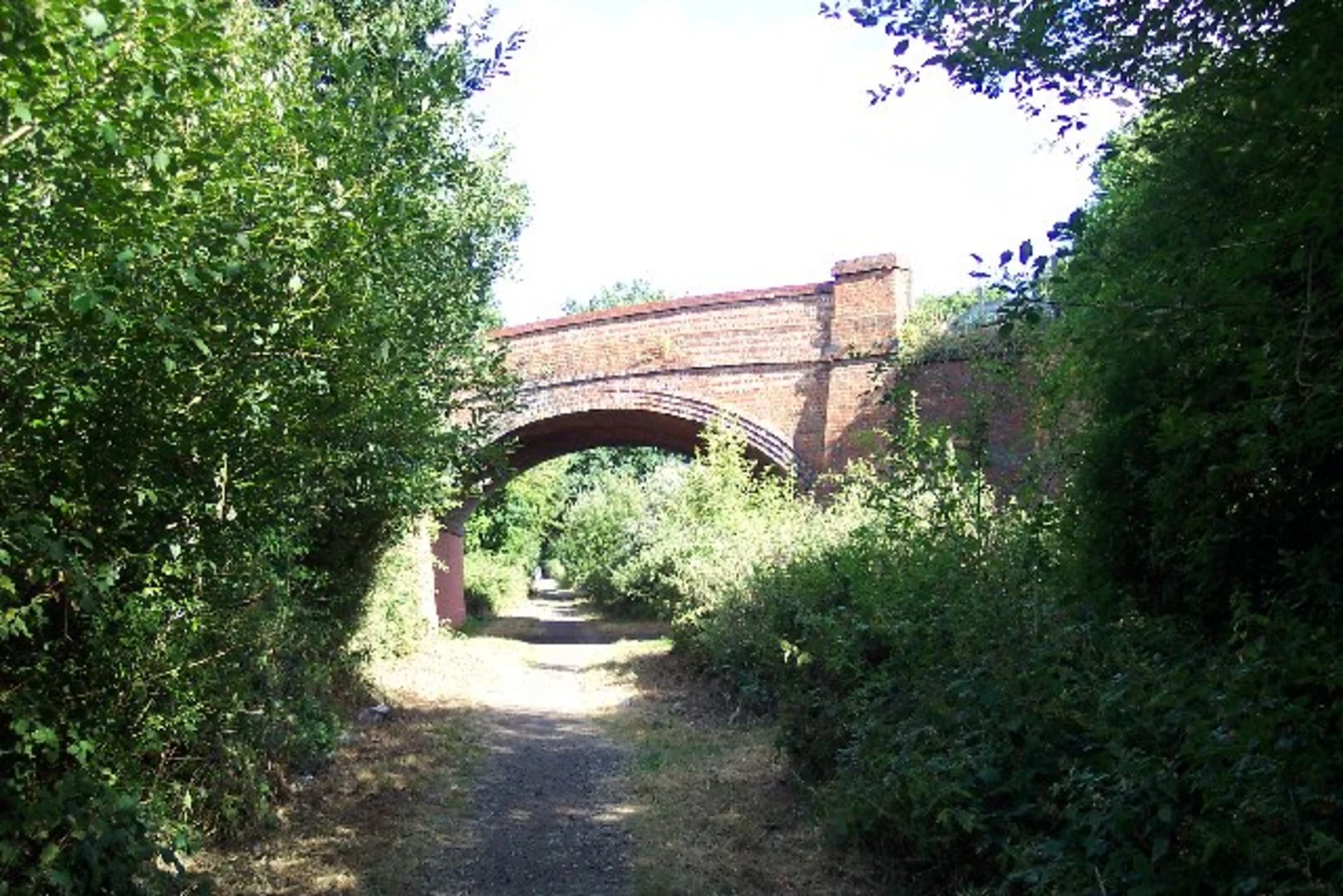 An image depicting the trail Cranleigh and Run Common Loop and its surrounding area.