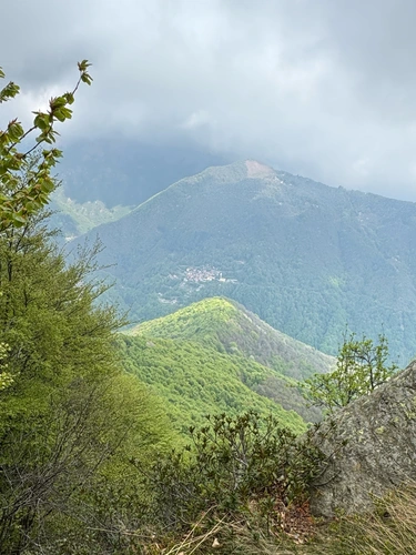 Monte Saccarello e Mazzocone - Giro ad anello e prolungamento verso il Belvedere di Quarna Sopra