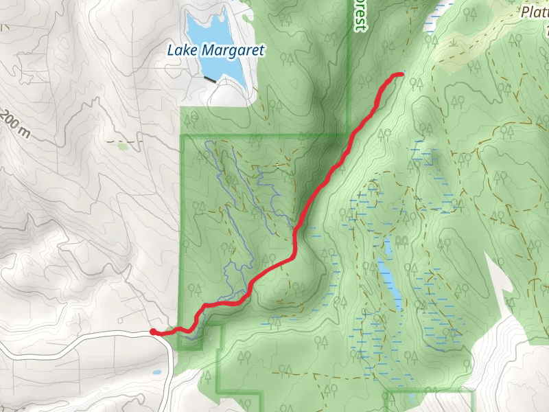 Cherry Creek Falls Trail