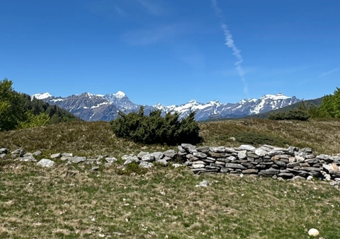 Alpe Campra
