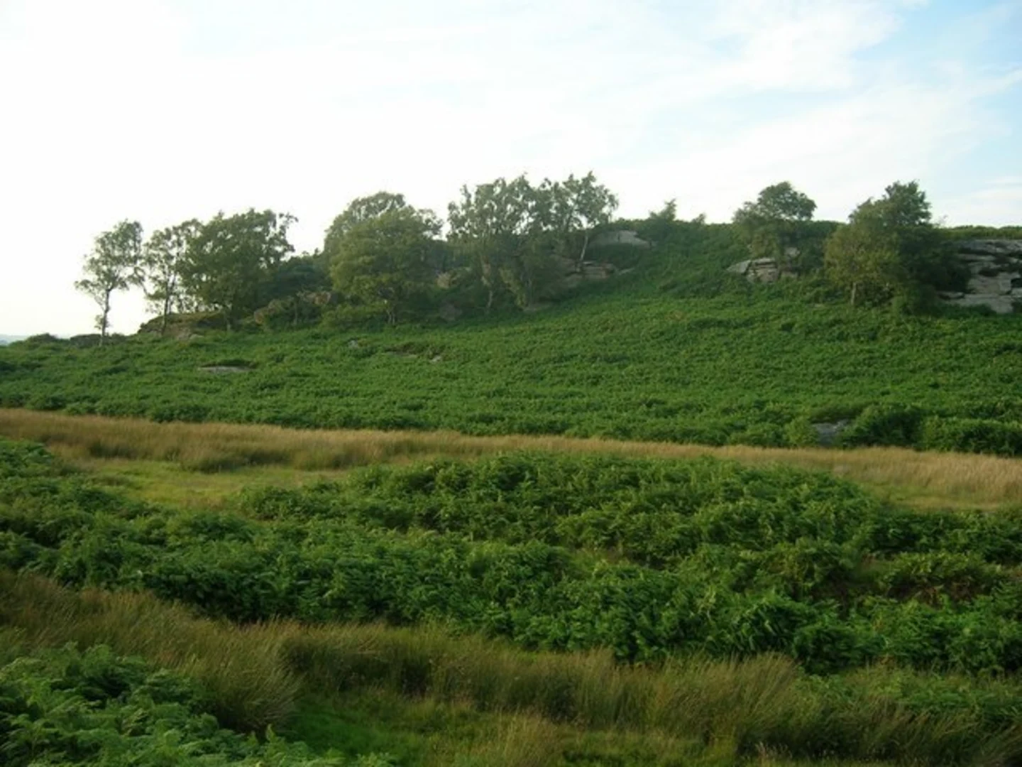 An image depicting the trail Shaftoe Crags and its surrounding area.