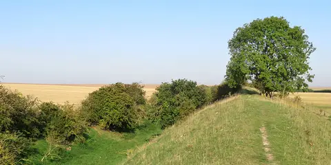 The Devil's Dyke from Reach