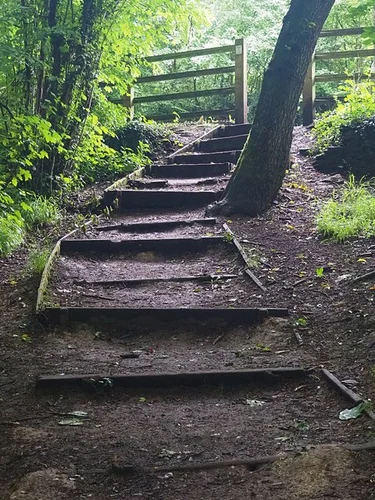 Silkstone Common to Dodworth Walk