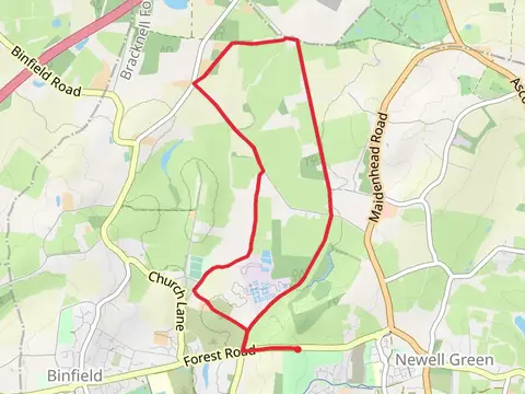 Hazelwood Copse and Binfield Park Loop