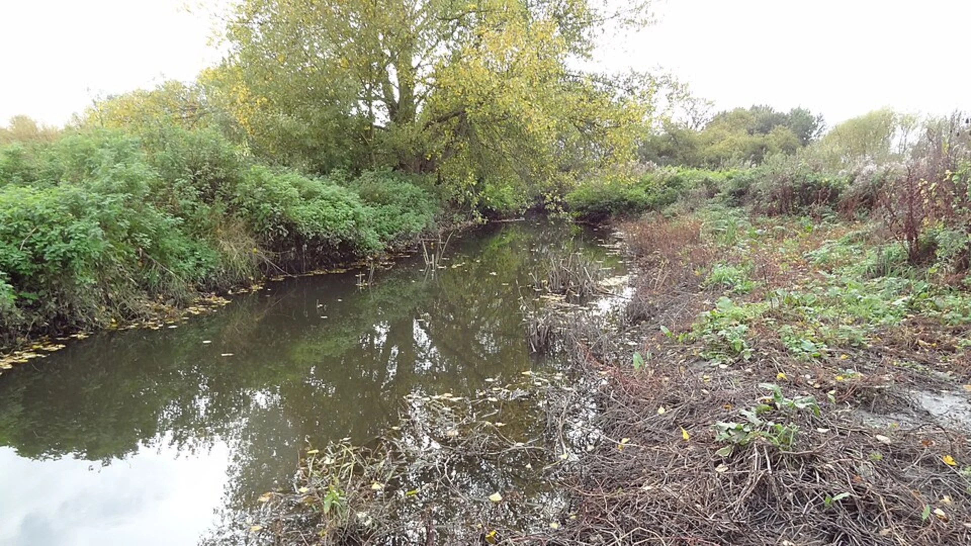 An image depicting the trail Ingrebourne Valley Local Nature Reserve Walk and its surrounding area.