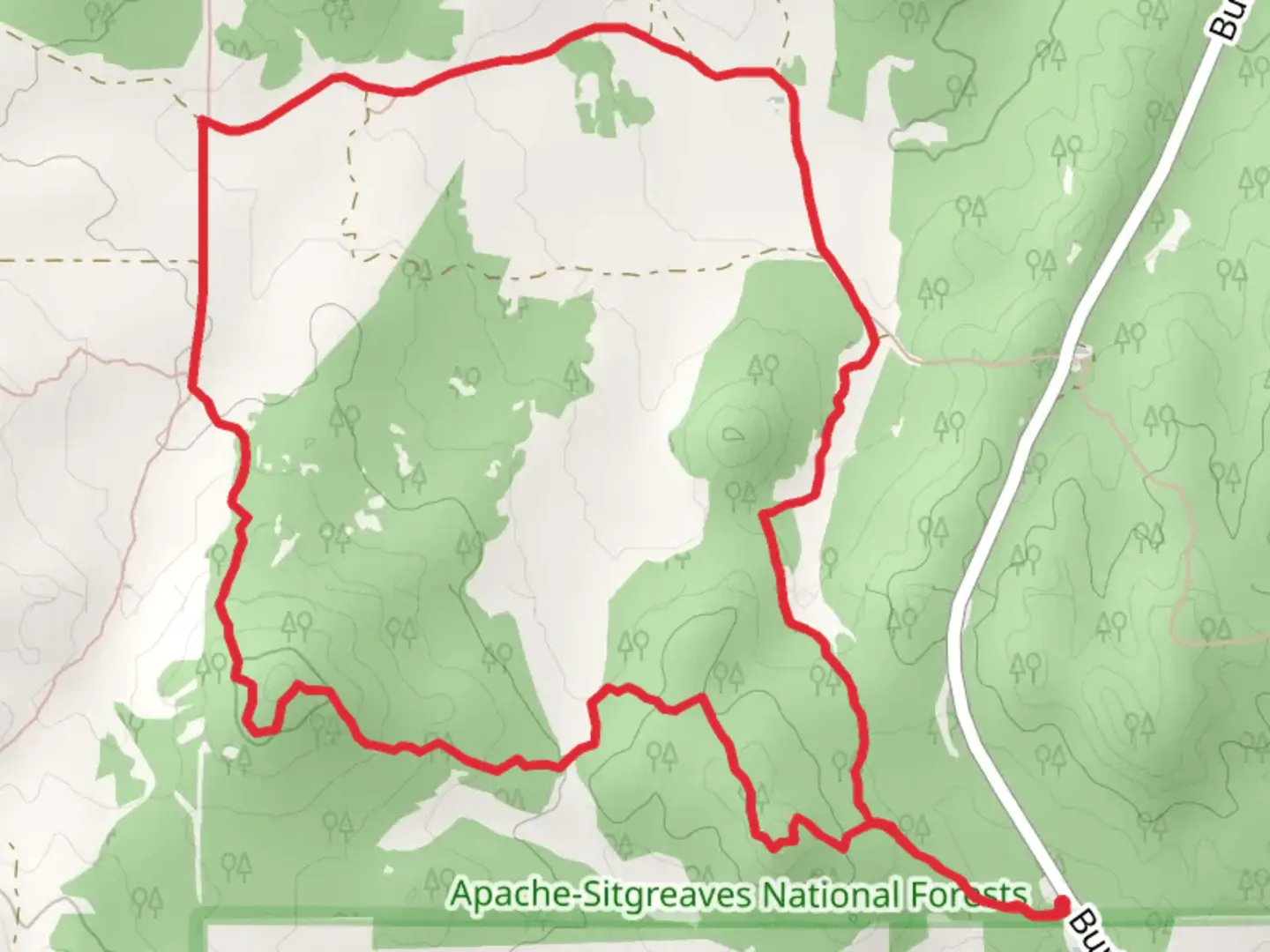 An image depicting the trail Ghost of the Coyote Short Loop Trail and its surrounding area.