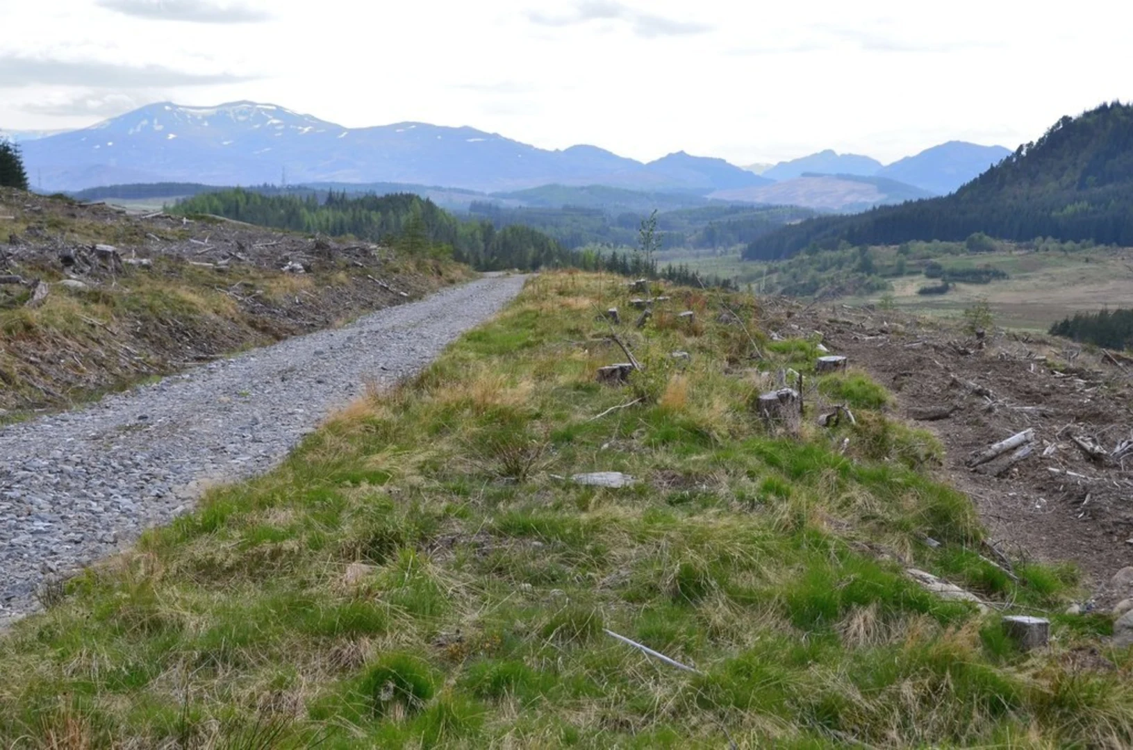 An image depicting the trail Spruce & Squirrel Loop Trail and its surrounding area.