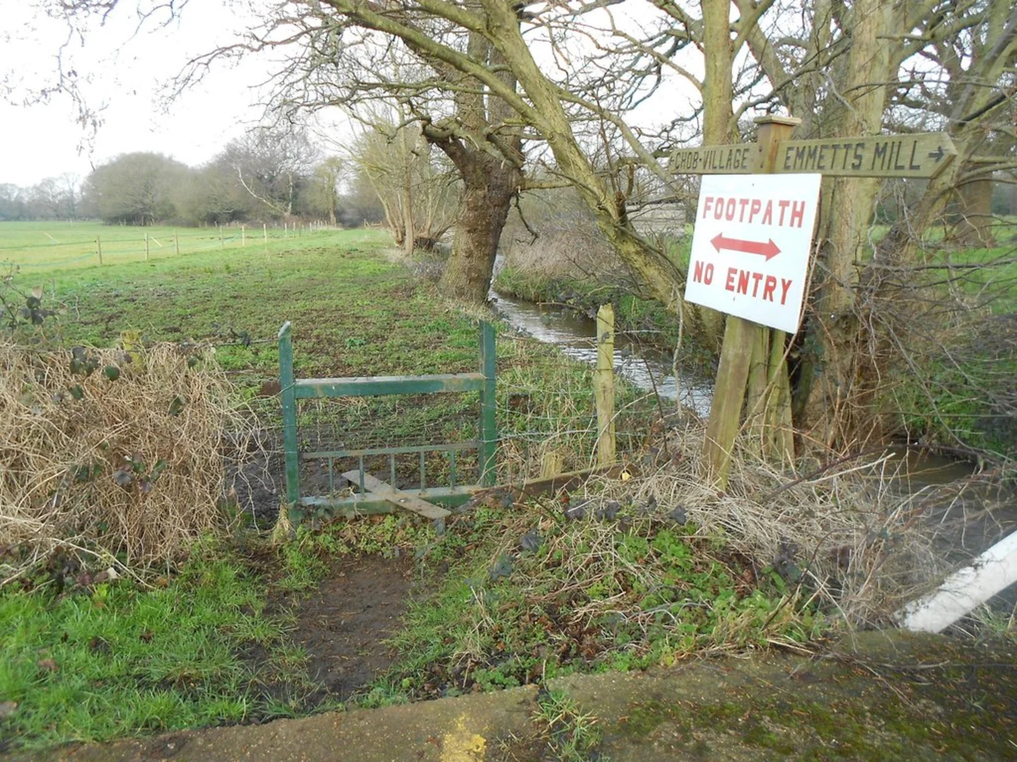 An image depicting the trail Chobham Water Meadows and Mill Bourne and its surrounding area.